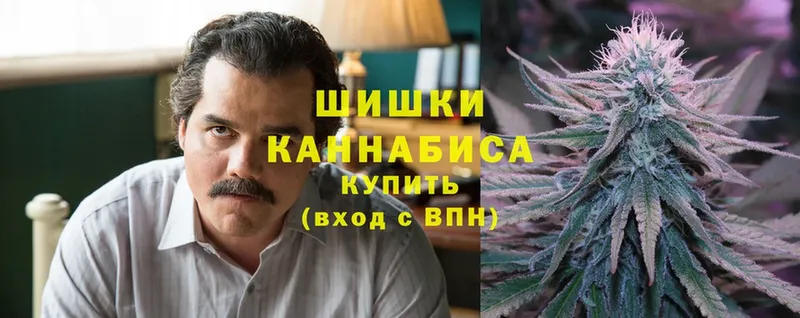 Каннабис конопля  Апатиты 